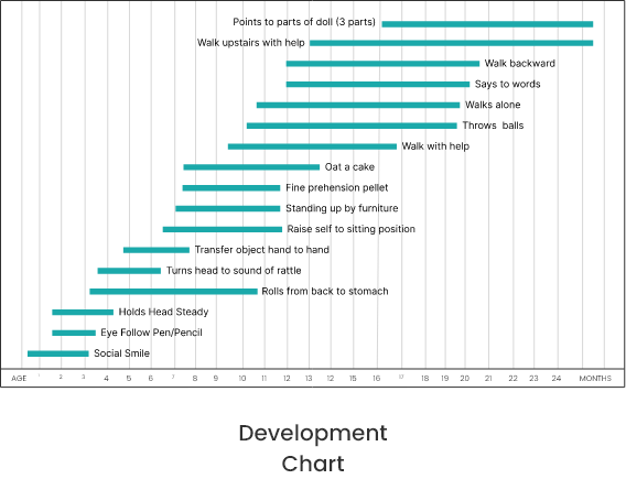 Development Chart
